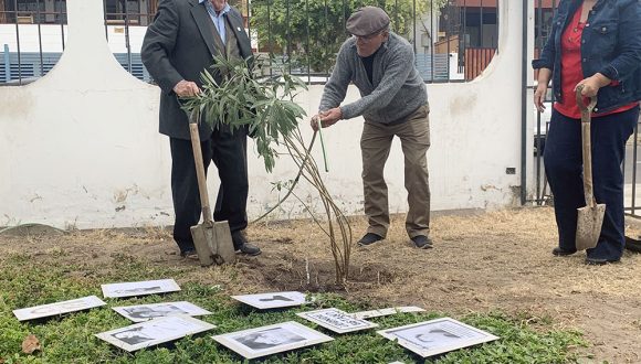 Personas usuarias de PRAIS del Servicio de Salud Arica y Parinacota plantaron un árbol de la memoria
